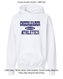 Cheerleader (Team Name) Athletics