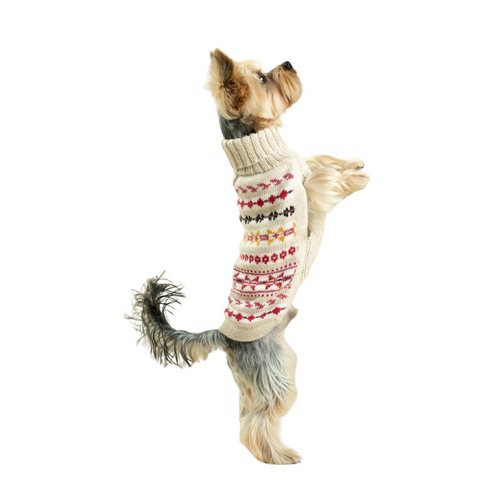cute dog sweater