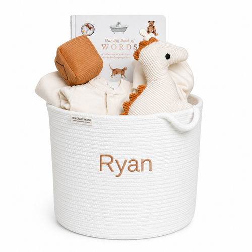 Organic Baby Gift Basket - Dino World