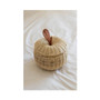 The Apple Rattan Basket
