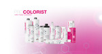 Procolorist