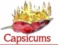 Capsicums Logo