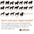 Cold Nose Creations Stock Dog Breed Choices Cold Nose Creations Stock Dog Breed Choices