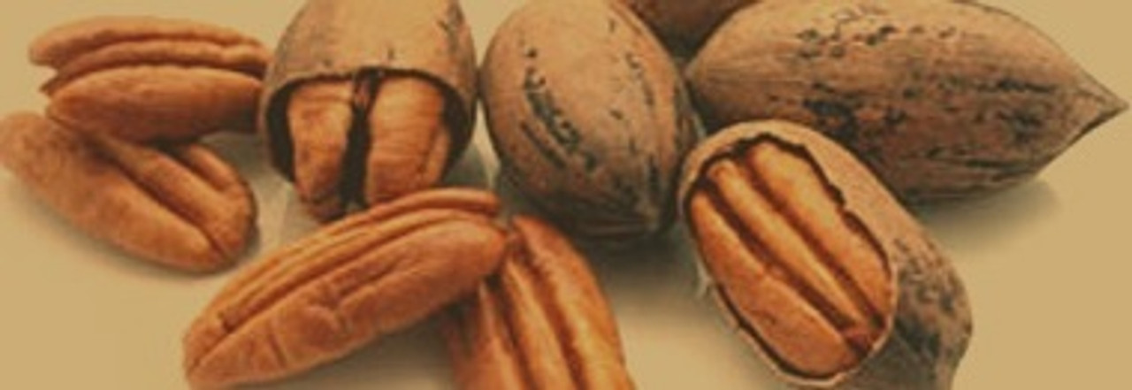 Williamson Pecan Farm