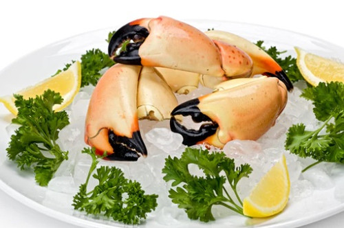 Florida Fresh Jumbo Stone Crab Claws served over crushed ice with fresh parsley and lemon wedges, showcasing sweet, sustainably harvested Florida stone crab ready to enjoy.