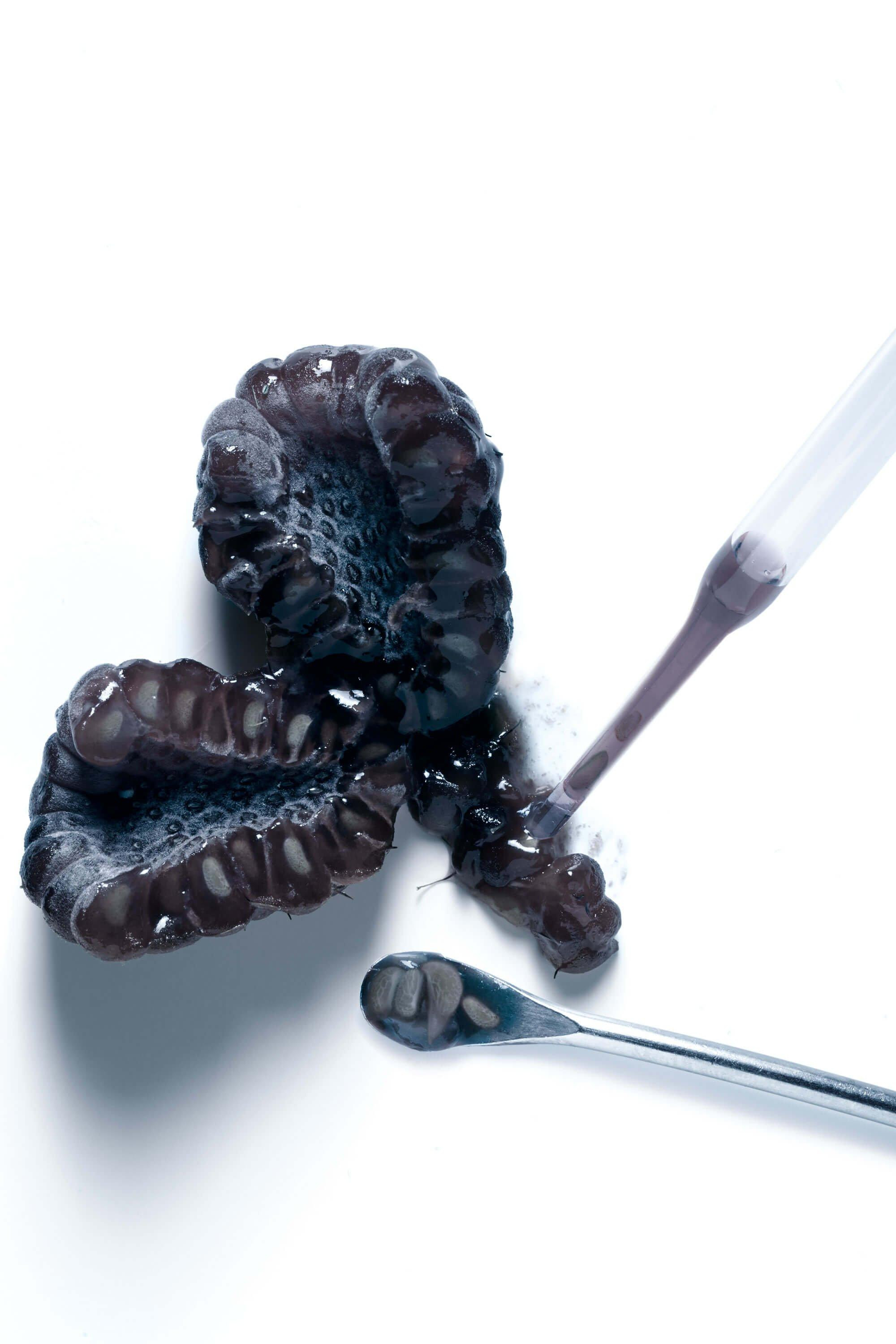 BLACK RASPBERRY 1