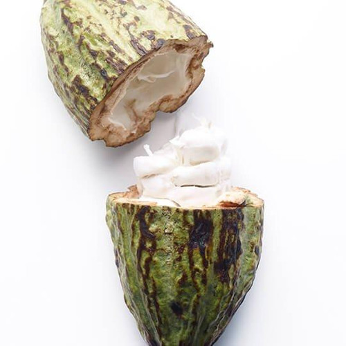 Cacao