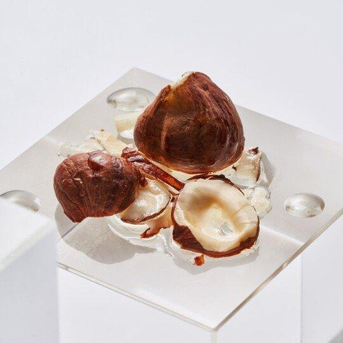 CORYLUS AVELLANA (HAZELNUT) SEED OIL