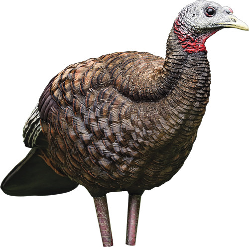 Avian X LCD Breeder Hen Decoy - Lifesize Synthetic Turkey Decoy for Hunting and Bird Control