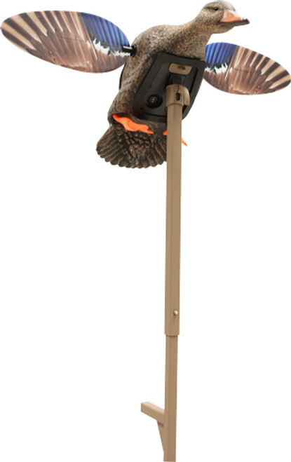 MOJO OUTDOORS Elite Series Mini Mallard Drake Duck Decoy - Lifesize Plastic Hunting Decoy