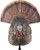 Avian X LCD Strutter Decoy - Lifesize Turkey Synthetic Decoy for Hunting and Wildlife Photography