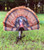 MOJO Outdoords Tail Chaser Max Turkey Decoy with Removable Fan and Realistic Gobbler Head