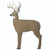 GlenDel Crossbow Buck Target G71010 - Heavy-Duty 4-Sided Foam Practice Target
