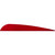 Arizona Archery Enterprises AAE Trad Vanes Red 4 in. - Pack of 50