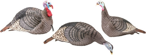 Hunters Specialties HS-100006 Strut Turkey Decoy Flock with Ground Stakes