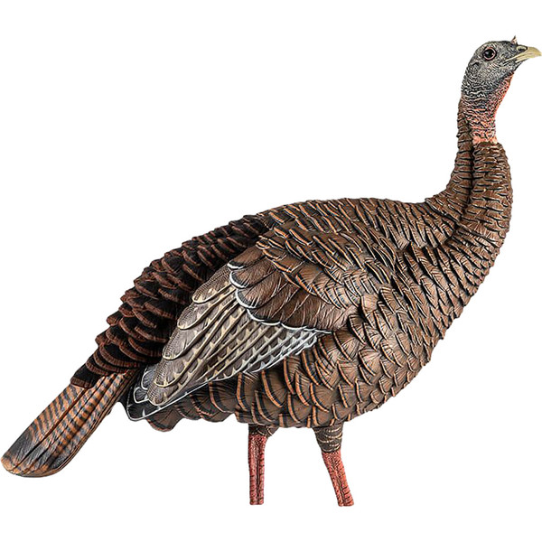 Avian-X HDR Hen Decoy - Realistic Duck Decoy with Interchangeable Postures
