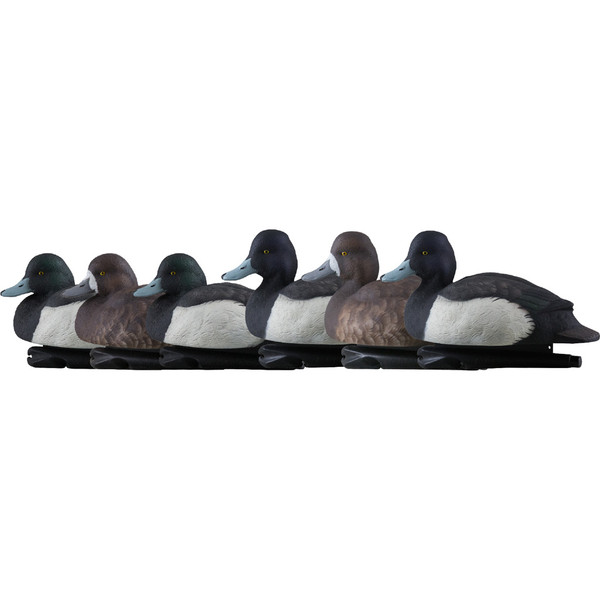 Avian-X Top Flight Duck Decoys Blue Bills 6 Pack - Realistic Waterfowl Hunting Decoys