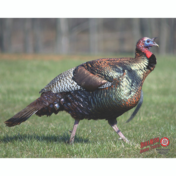 DuraMesh Archery Target Turkey 25 in. x 32 in.