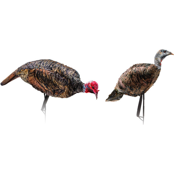Montana Decoy Purr-Fect Pair XD Decoy Combo - Realistic Turkey Feathers with Taxidermy Eyes