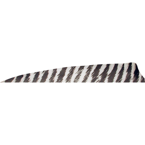 Gateway Shield Cut Feathers Barred White 4-inch Arrow Vanes, Pack of 50