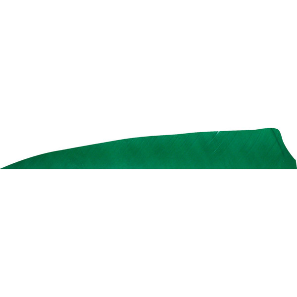Gateway Shield Cut Feathers Green 4 in. RW - Pack of 50