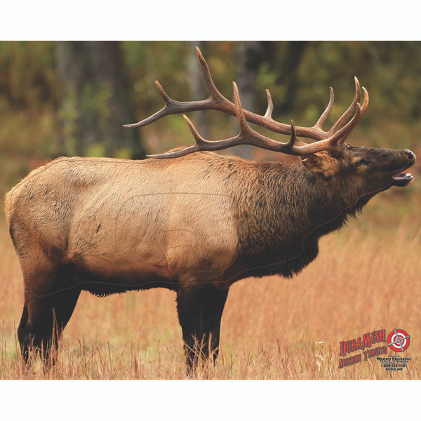 DuraMesh Archery Target Elk Model DM206 - 25 x 32 Inches, Weatherproof and Durable