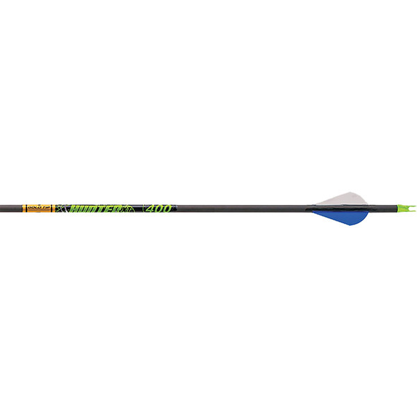 Gold Tip Hunter XT Arrows 300 with Raptor Vanes - 12 Pack by Gold Tip Part HXT300A2