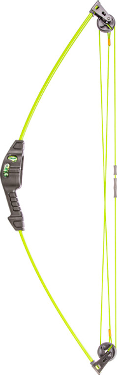 BEAR ARCHERY YOUTH COMPOUND