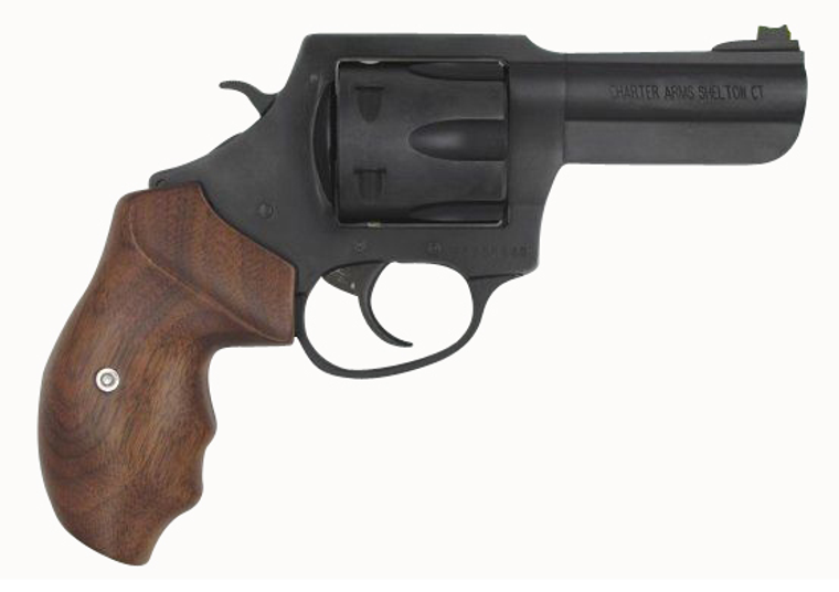 THE PROFESSIONAL 357MAG 4.2"