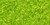 Toho Seed Bead 11/0 Round #173 Transparent Lime Green 50 Grams