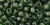 Toho Seed Beads 6/0 Round #49 Transparent Olivine 50 grams
