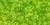 Toho Seed Beads 8/0 Round #169 Transparent Lime Green 20 grams