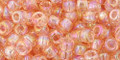 Toho Seed Beads 6/0 #289 Transparent Rainbow Rosaline 20g