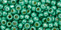 Toho Beads 6/0 Permanent Finish Galvanized Teal Green 20 grams