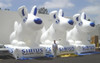 CUSTOM INFLATABLE GIANT ADVERTISING BALLOONS