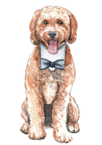 Custom Pet Watercolor