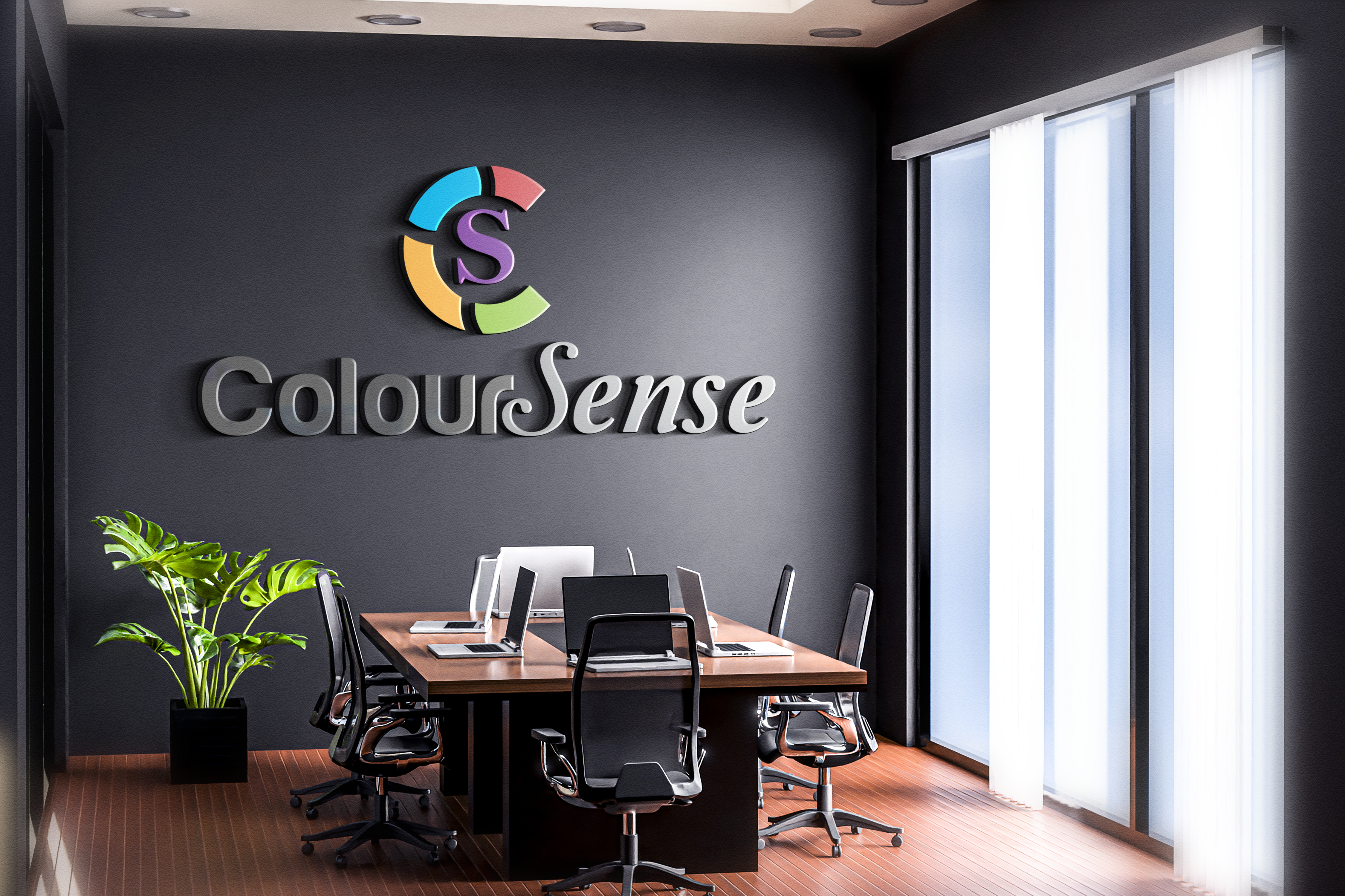 ColourSense Logo