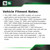 Fitment Notes