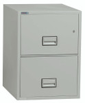 Phoenix Safe Phoenix 2 Drawer Vertical Legal Fire File Cabinet LGL2W31 