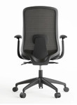 Eurotech Seating Flexy Mesh Back Task Chair