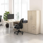  Bush Business Furniture Vista 60W L Shaped Desk with Metal Legs, Low Storage Cabinet, and Wardrobe 