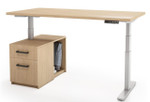Element Contract Furniture Element Contract STO Casegoods Collection Height Adjustable Desk with Enclosed Storage Leg 