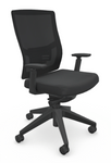RFM Equip Collection Mesh Back Task Chair Model 172