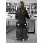 Safco Products Safco Zenergy Ergonomic Ball Chair 4750 (5 Color Options!)