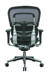 Eurotech Seating Eurotech Black Leather Ergohuman Mesh Low Back Chair LEM6ERGLO