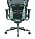 Eurotech Seating Eurotech Black Leather Ergohuman Mesh Low Back Chair LEM6ERGLO 