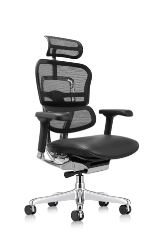 Eurotech Seating Eurotech Ergohuman GEN2 High Back Leather Seat Mesh Chair