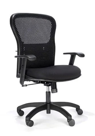 RFM Essentials Collection Mesh Back Task Chair Model 161