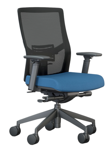 RFM Equip Collection Mesh Back Task Chair Model 172