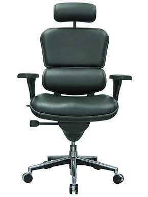 Eurotech Seating Eurotech Black Leather Ergohuman Luxury Ergonomic Office Chair LE9ERG